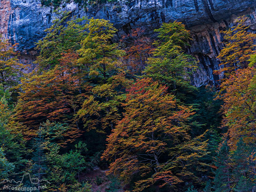 Foto: Cañon de Añisclo, Parque Nacional de Ordesa y Monte Perdido