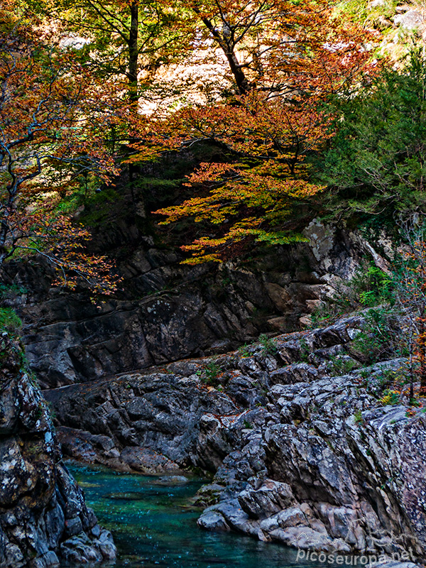 Foto: Río Bellos, Cañon de Añisclo, Pirineos de Huesca, Aragon, Parque Nacional de Ordesa y Monte Perdido