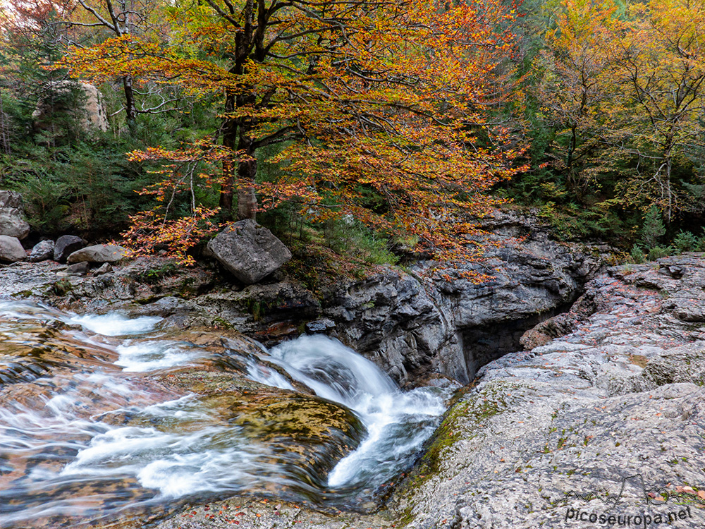 Foto: Río Bellos, Cañon de Añisclo, Pirineos de Huesca, Aragon, Parque Nacional de Ordesa y Monte Perdido