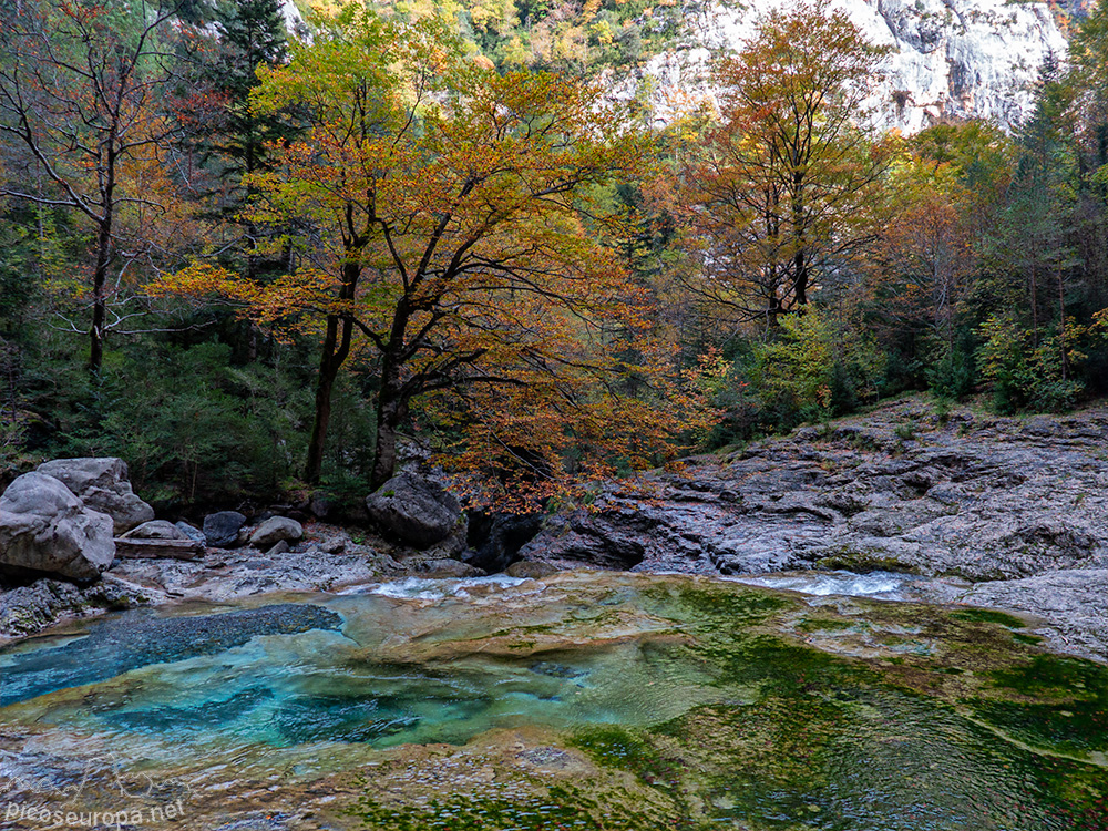 Foto: Cañon de Añisclo, Pirineos de Huesca, Aragon, Parque Nacional de Ordesa y Monte Perdido