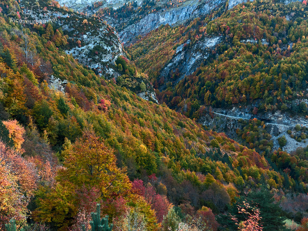 Foto: Parque Nacional de Ordesa y Monte Perdido