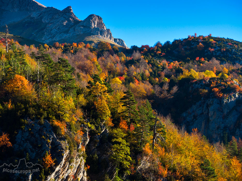 Valle del réo Ara, San Nicolas de Bujaruelo, Ordesa, Pirineos de Huesca