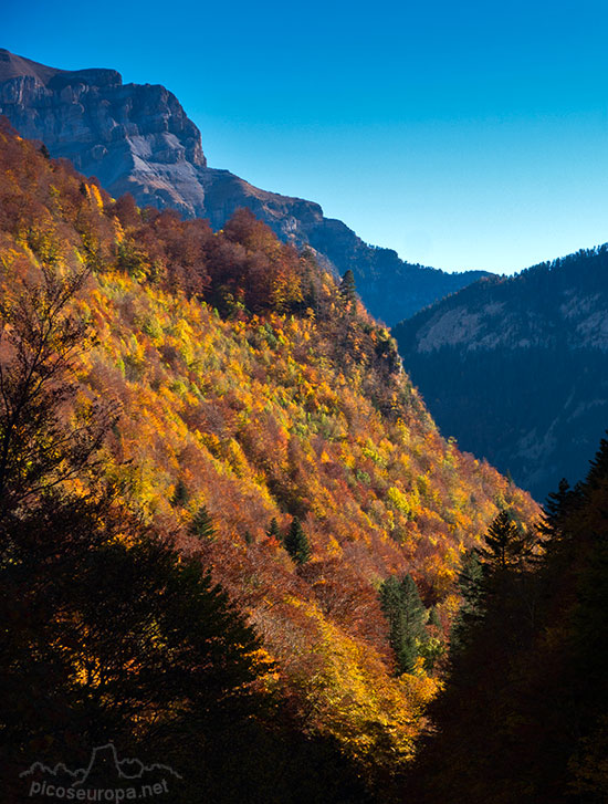 San Nicolas de Bujaruelo y el Valle del réo Ara, Ordesa, Pirineos de Huesca, Aragón.