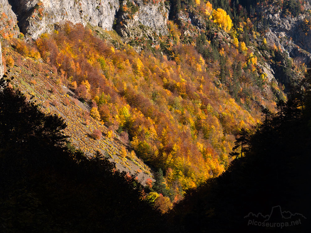 San Nicolas de Bujaruelo y el Valle del réo Ara, Ordesa, Pirineos de Huesca, Aragón.