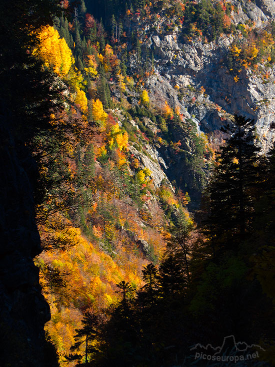 San Nicolas de Bujaruelo y el Valle del réo Ara, Ordesa, Pirineos de Huesca, Aragón.