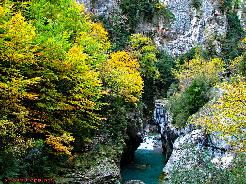 Foto: Otoño en el Desfiladero del río Bellos, Ordesa, Pirineos de Huesca, Aragón