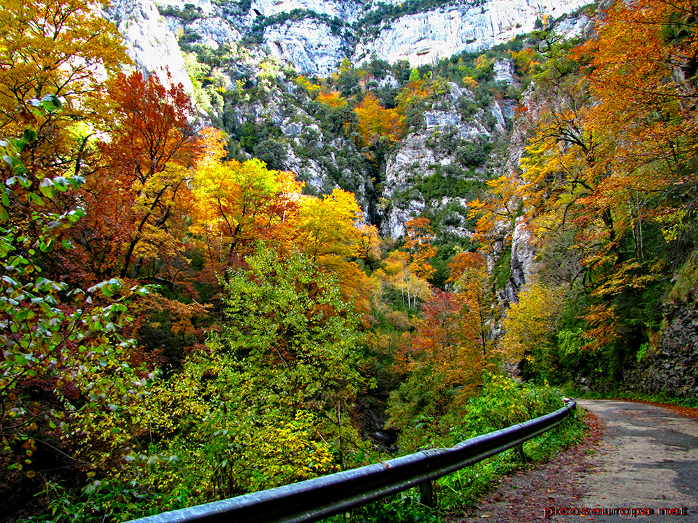 Foto: Otoño en el Desfiladero del río Bellos, Ordesa, Pirineos de Huesca, Aragón