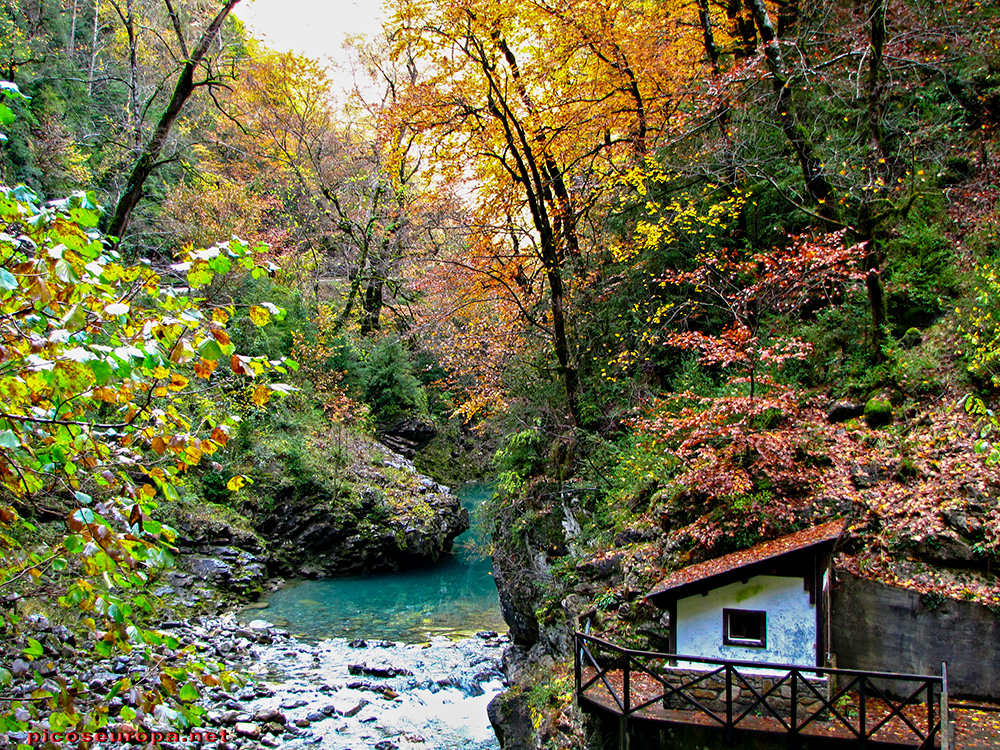 Foto: Otoño en el Desfiladero del río Bellos, Ordesa, Pirineos de Huesca, Aragón