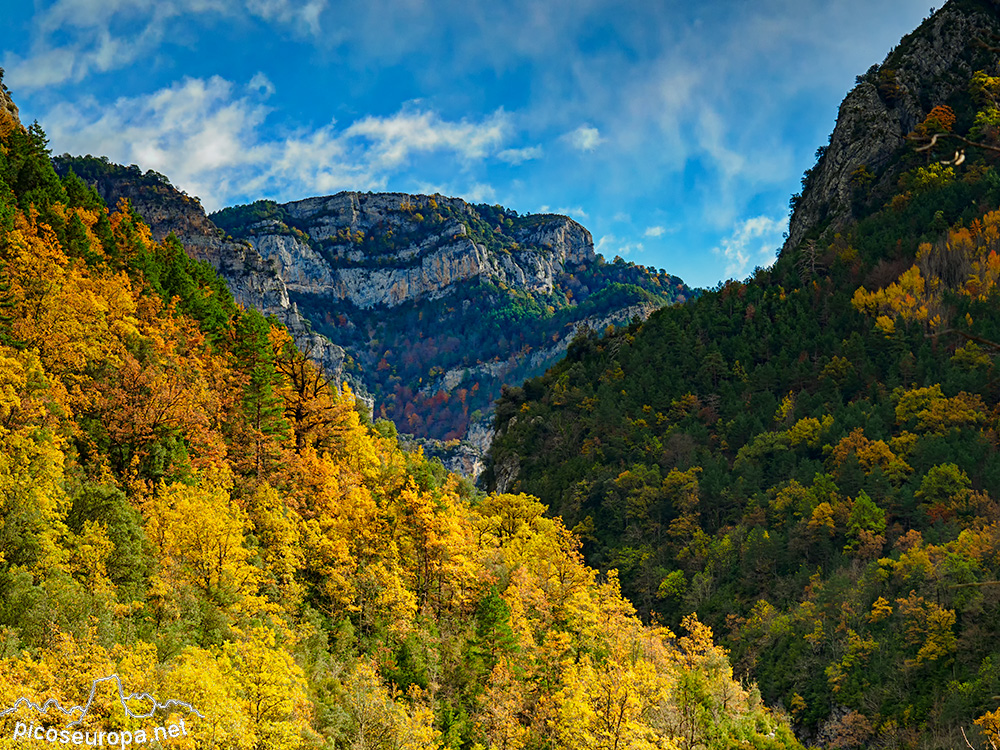 Foto: Otoño en el Desfiladero del río Bellos, Ordesa, Pirineos de Huesca, Aragón