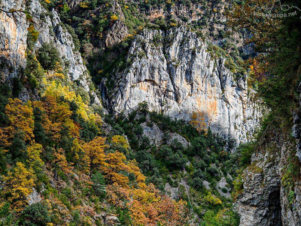 Foto: Otoño en el Desfiladero del río Bellos, Ordesa, Pirineos de Huesca, Aragón