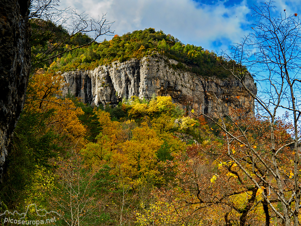 Foto: Otoño en el Desfiladero del río Bellos, Ordesa, Pirineos de Huesca, Aragón