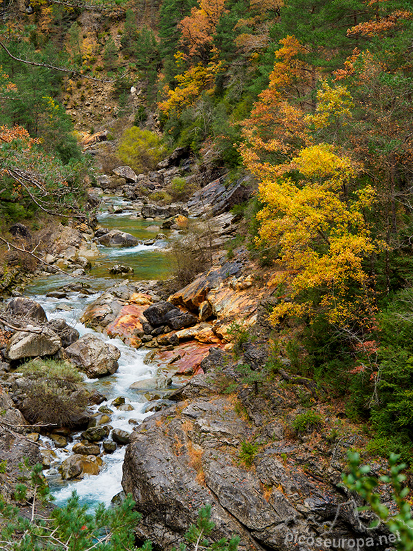 Foto: Otoño en el Desfiladero del río Bellos, Ordesa, Pirineos de Huesca, Aragón