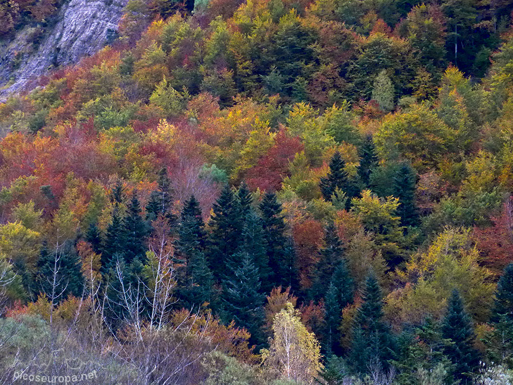 Foto: Parque Nacional de Ordesa y Monte Perdido