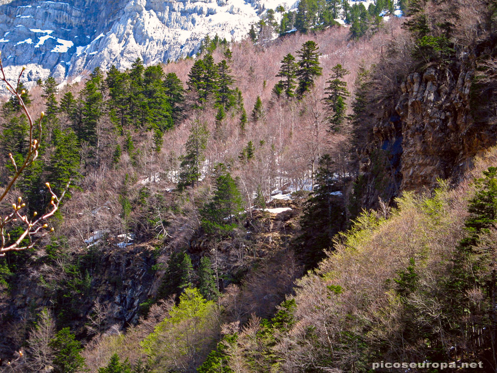 Foto: Paredes del Valle de Ordesa en invierno