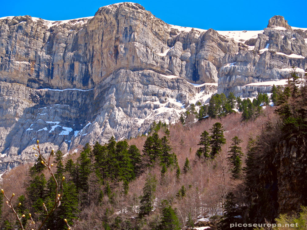 Foto: Valle de Ordesa, Parque Nacional de Ordesa y Monte Perdido, Pirineos de Huesca, Aragón