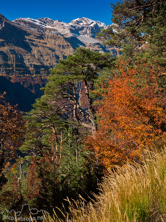 Foto: Valle de Pineta, Parque Nacional de Ordesa y Monte Perdido