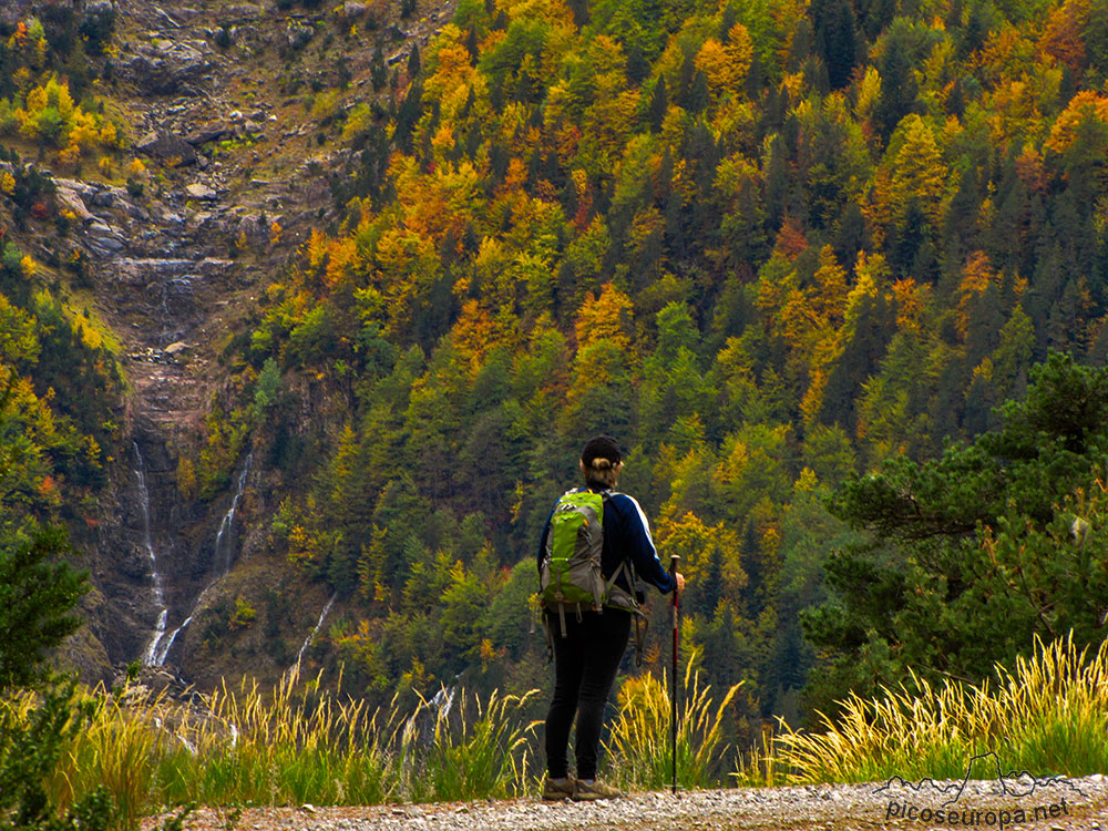 Foto: Valle de Pineta, Parque Nacional de Ordesa y Monte Perdido