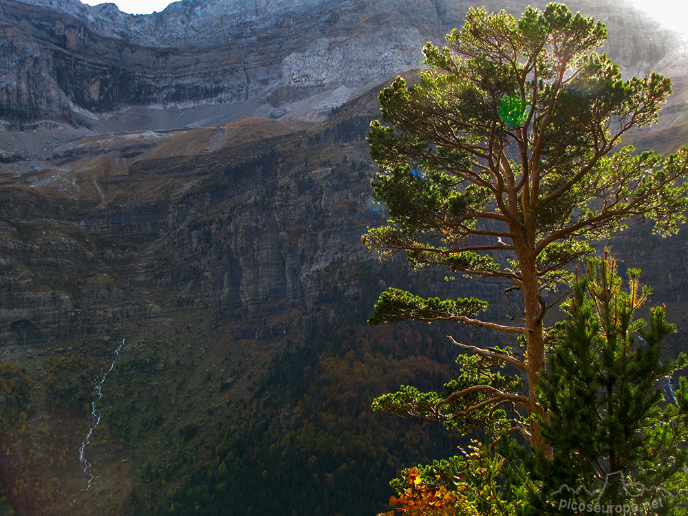 Foto: Valle de Pineta, Parque Nacional de Ordesa y Monte Perdido