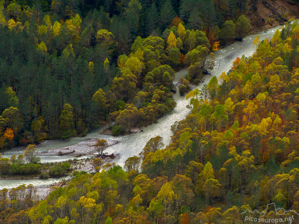 Foto: Ro Cinca, Valle de Pineta, Parque Nacional de Ordesa y Monte Perdido