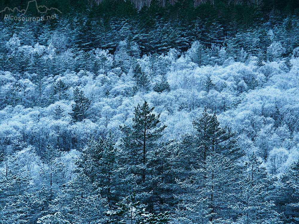 Foto: El Valle de Pineta en invierno, Pirineos de Huesca, Aragon, Parque Nacional de Ordesa y Monte Perdido