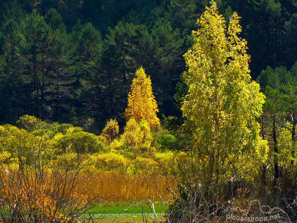 Foto: Embalse de Pineta, Ordesa, Pirineos de Huesca, Aragón.