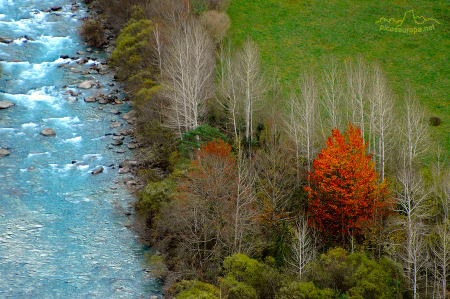 Foto: Bosques en la entrada de Torla, Pirineos de Huesca, Aragon, Parque Nacional de Ordesa y Monte Perdido